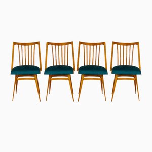 Oak Dining Chairs from Interier Praha, 1960s, Set of 4