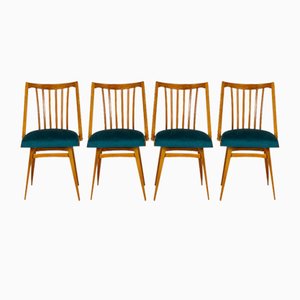 Sillas de comedor de roble de Interier Praha, años 60. Juego de 4