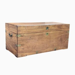 Early 20th Century Camphor Wood Chest, 1890s