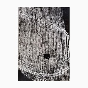 Mario Giacomelli, Bewusstsein der Natur, 1981, Silbergelatine-Druck