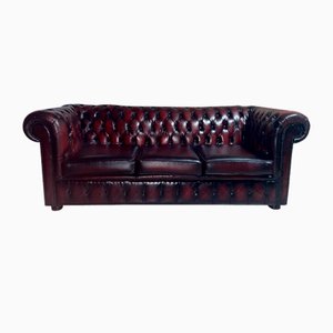 Chesterfield Sofa in Leather and Wood, England, 1970s