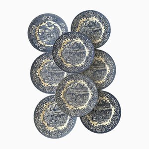 Piatti Ironstone di Royal Tudor Ware, Regno Unito, anni '60, set di 8