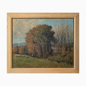 Benito Sanchez, Le Berger et son troupeau, Huile sur Toile