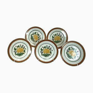 Model Chrysantheme Plates from Limoges, 1980s, Set of 5