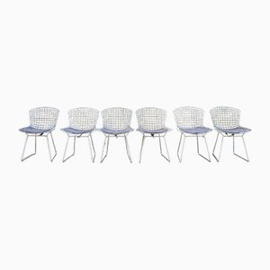 Nr. 420 Chairs by Harry Bertoia for Knoll International, 1950s, Set of 6