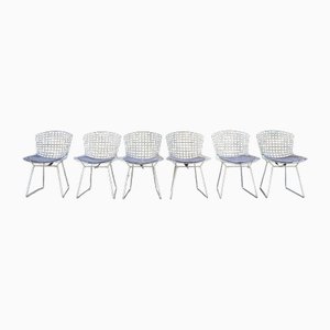 Nr. Sillas 420 de Harry Bertoia para Knoll International, años 50. Juego de 6