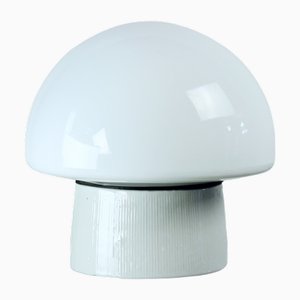 Mid-Century Wall Lamp in Ceramic and White Opaline Glass from Elektrosvit, 1960s