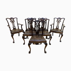 Chippendale Style Dining Chairs with Leather Seats, Set of 6