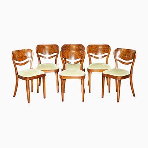 Burr Walnut Bentwood Dining Chairs from Thonet, 1880s, Set of 6