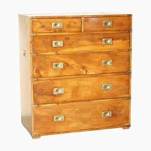 Vintage Burr Elm Military Campaign Chest of Drawers, 1940s