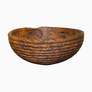 Large Burred Eucalyptus Bowl from B Moss