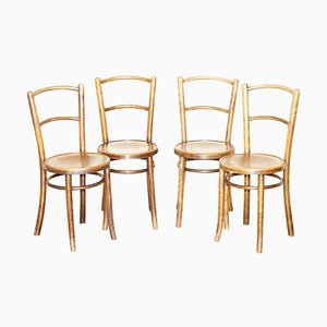 Austrian Bistro Dining Bar Bentwood Chairs from Thonet, 1930s, Set of 4