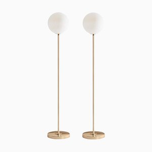 06 Dimmable Brass Floor Lamps by Magic Circus Editions, Set of 2