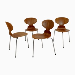 Three-Legged Ant Chairs Model 3101 for Fritz Hansen, Denmark, 1960s, Set of 4