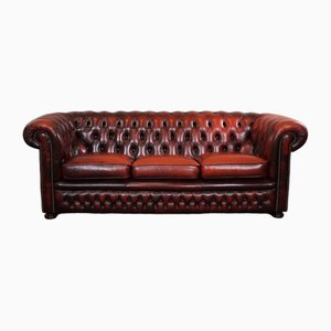 Rotes Chesterfield-Sofa mit Rindern