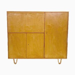 Vintage CB01 Cabinet by Cees Braakman for Pastoe, 1950s