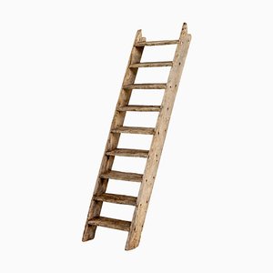 20th Century Art Populaire Rustic Ladder, France