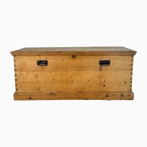 Large Victorian Pine Stripped Trunk
