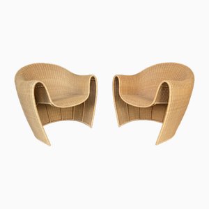 Set of Italian King Tubby Armchairs inRattan by Platt & Young for Driade, 1998