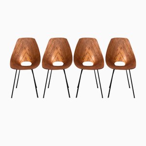 Vittorio Nobili zugeschriebene Esszimmerstühle für Fratelli Tagliabue, 1950er, 4er Set