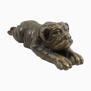 Scultura Bulldog grande in bronzo, anni '70