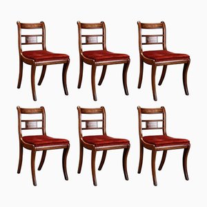 Englische Stühle aus Palisander & Mahagoni, 6er Set