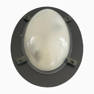 Italian Industrial Oval Glass and Black Backplate Ceiling Lamp, 1960s