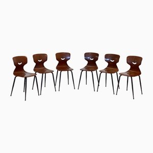 Pagholz Chairs in Curved Plywood from Pagholz Flötotto, Set of 6