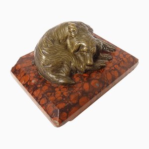 Bronzeskulptur oder Briefbeschwerer eines liegenden Hundes, 19. Jh.