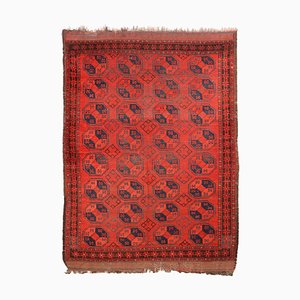 Afghanistan Thin Knot Handmade Bukhara Rug in Wool