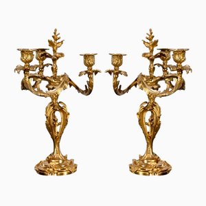 Candelabros de bronce dorado estilo Luis XV, finales del siglo XIX. Juego de 2