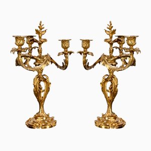 Vergoldete Bronze Kandelaber im Louis XV Stil, Ende 19. Jh., 2er Set