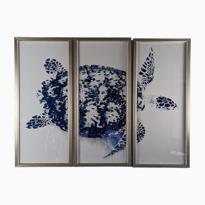 Stuart Redler, Blue Turtle, 2000s, Digital Print