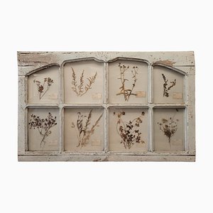 Provenzalische Herbarium Tür, 18. Jh., Frankreich
