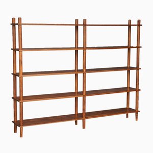 Bookshelf Shelving Unit in Brazilian Hardwood, 1960s