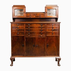 Early 20th Century Mahogany Collectors Cabinet, 1920s