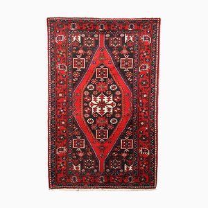Antique Rudbar Rug in Cotton and Wool