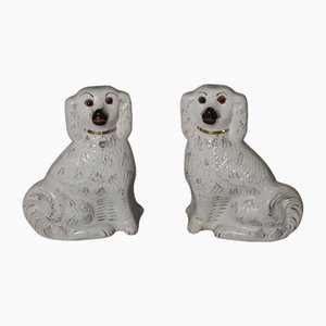 Grands Chiens de Cisaillement Victoriens Assis, 1890s, Set de 2