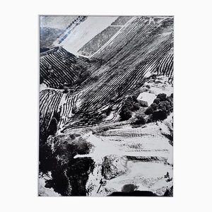 Mario Giacomelli, Conciencia de la naturaleza, Fotografía vintage, años 80