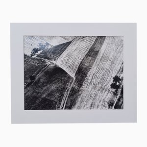 Mario Giacomelli, Naturbewusstsein, Vintage Fotografie, 1979