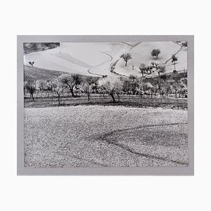 Mario Giacomelli, Landscape Photograph, Silver Gelatin Print, 1980