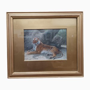 Fred Thomas Smith, A Recumbent Tiger Wildlife, 1898, Acquerello, vetro, oro e carta, con cornice