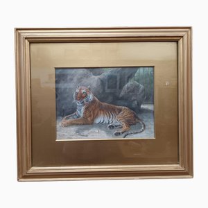 Fred Thomas Smith, Un tigre reclinado, 1898, Acuarela y vidrio y oro y papel, enmarcado