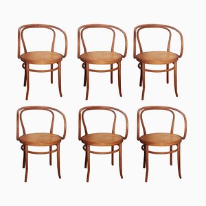 Dining Chairs in the style of Thonet, 1950s, Set of 6