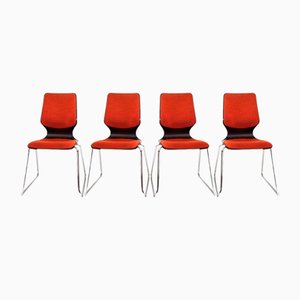 Pagholz Chairs by Elmar Flötto for Flötotto, 1970s, Set of 4
