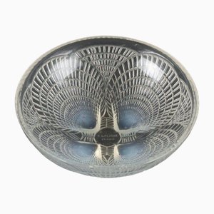French Opalescent Scallop Bowl from Lalique