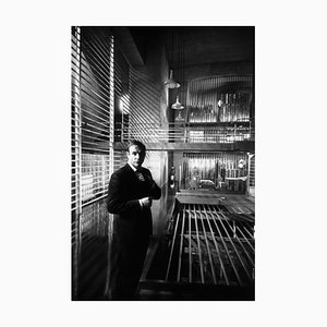 Goldfinger, 1960er, Fotodruck im Schwarzen Rahmen
