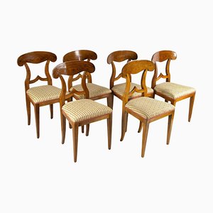 Biedermeier Nutwood Shovel Dining Chairs, 19th Century, Set of 6