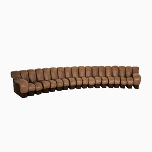 DS-600 Modular Sofa in Leather by Eleonore Peduzzi Riva for Thirst, 1970s, Set of 18