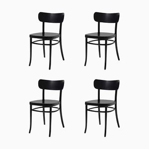 MZO Chairs by Mazo Design, Set of 4